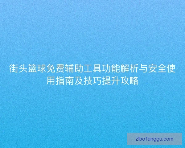 街头篮球免费辅助工具功能解析与安全使用指南及技巧提升攻略