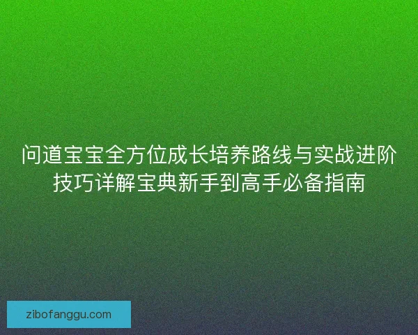 问道宝宝全方位成长培养路线与实战进阶技巧详解宝典新手到高手必备指南
