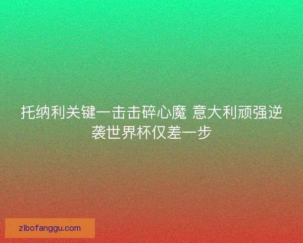 托纳利关键一击击碎心魔 意大利顽强逆袭世界杯仅差一步 托纳利关键一击击碎心魔 意大利顽强逆袭世界杯仅差一步