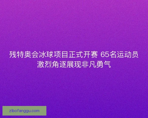 残特奥会冰球项目正式开赛 65名运动员激烈角逐展现非凡勇气
