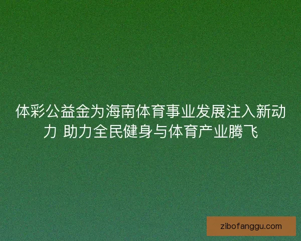 体彩公益金为海南体育事业发展注入新动力 助力全民健身与体育产业腾飞