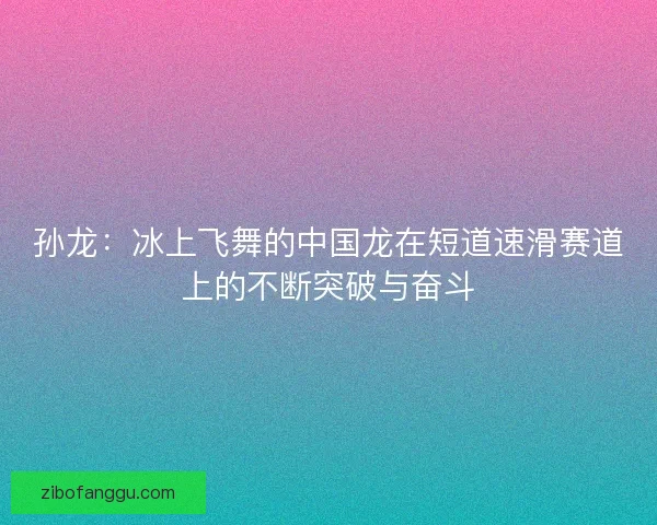 孙龙：冰上飞舞的中国龙在短道速滑赛道上的不断突破与奋斗