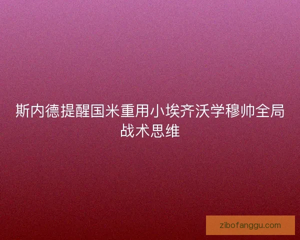 斯内德提醒国米重用小埃齐沃学穆帅全局战术思维 斯内德提醒国米重用小埃齐沃学穆帅全局战术思维