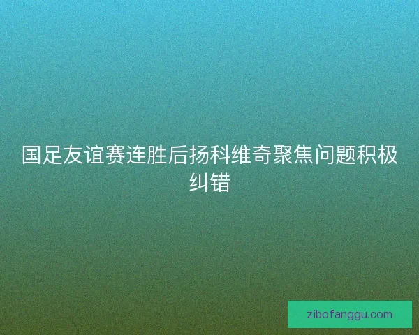 国足友谊赛连胜后扬科维奇聚焦问题积极纠错